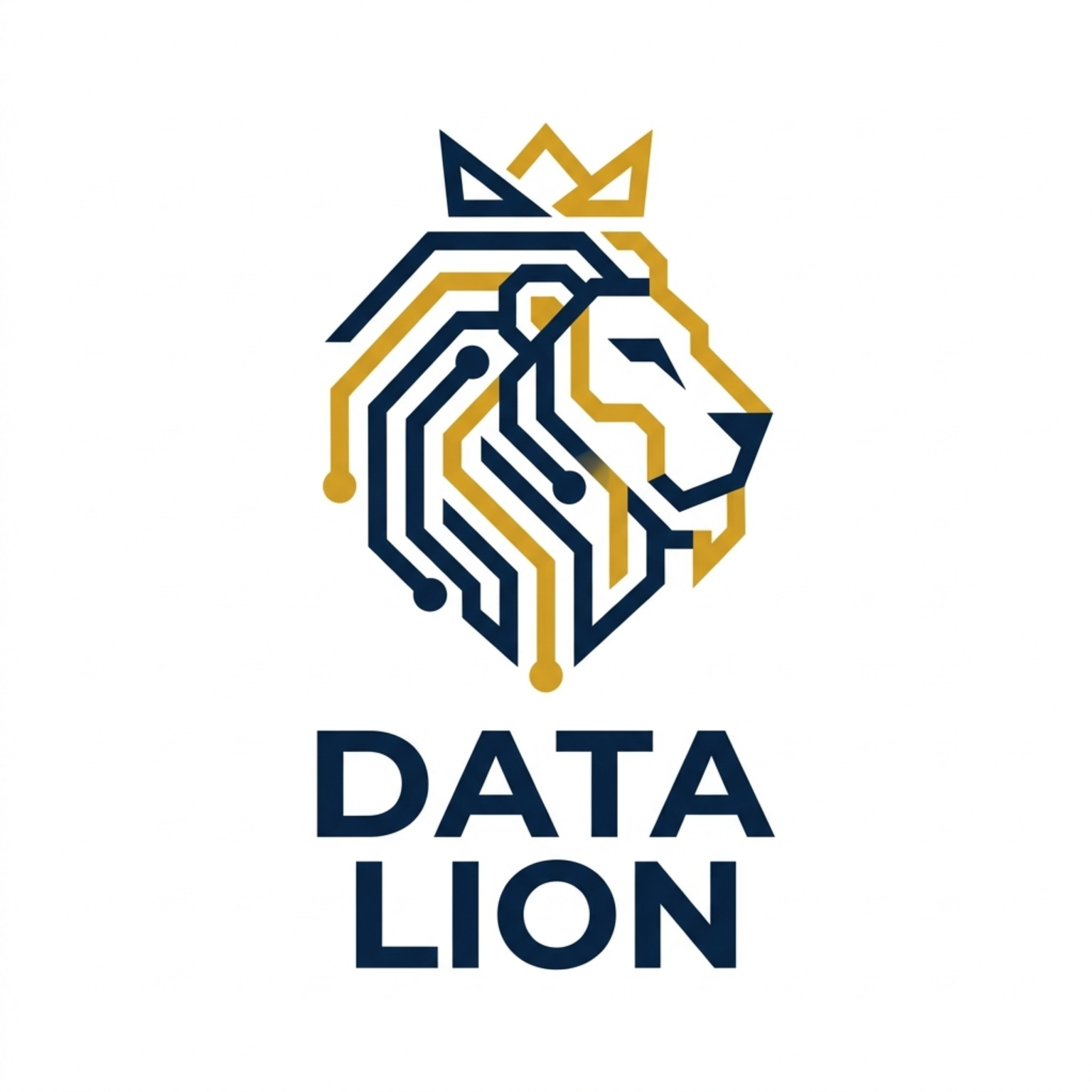 Data Lion